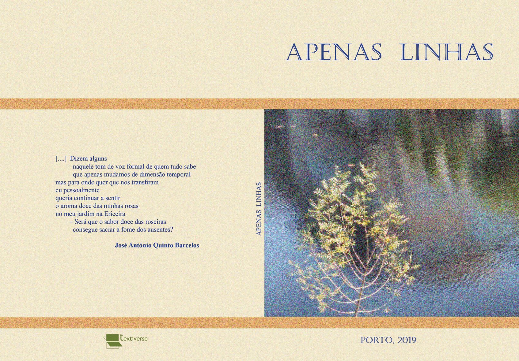 Capa Apenas Linhas env. tipog.2