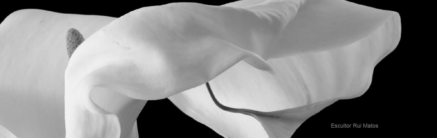 Dobra 8 chamada de trabalhos