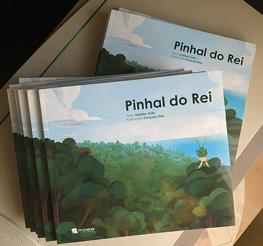 Pinhal do Rei